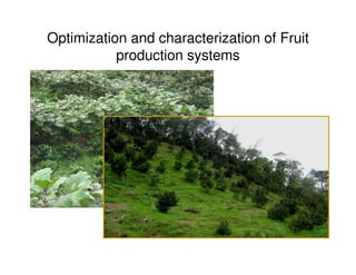 A Gonzales quesungual slash and mulch agroforestry july 2010