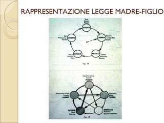 AP. DA INSERIRE NEL SSN

A TUTTI È, FORSE, NOTA L’ULTIMA
PROPOSTA DI LEGGE CHE PREVEDEVA
L’INSERIMENTO DELL’AP. NEL SERVIZIO
SANITARIO NAZIONALE.
CON LA SEGUENTE MOTIVAZIONE:
“l’iniziativa ha un significato rilevante perché porta
a dare direzione unica, coordinata e
regolamentare---- dell’AP. senza le frammentazioni
che le regioni possono creare.” (domenico
scilipoti.)
 