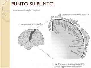 DEFINIZIONE CONCETTO.
 SIDEVE SOTTOLINEARE L’AGOPUNTURA
  TRADIZIONALE È UN SISTEMA GENERALE
  DI MEDICINA.

 RACCOLTO ED ELABORATO SECONDO
  SCHEMI ENERGETICI FISSI.

 ILPAZIENTE VIENE OSSERVATO ED
  ESAMINATO: SI PONE UNA DIAGNOSI E SI
  STABILISCE UNA TERAPIA.
 