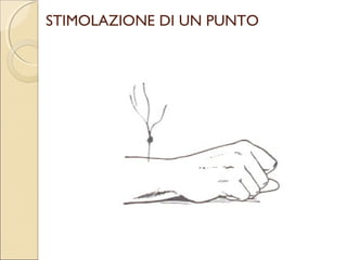 SO FUNG
 “quattro
 giunture”
 