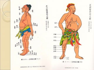 PARAGONE TRA LE DUE
           MEDICINE.

LAMEDICINA ORIENTALE USA UN
 RAGIONAMENTO BASATO SULLA
 METAFISICA E SUL METODO
 DEDUTTIVO.

LA  MEDICINA OCCIDENTALE USA
 UN RAGIONAMENTO BASATO SULLA
 FISICA E SUL METODO
 INDUTTIVO.
 