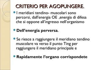 RAPPRESENTAZIONE LEGGE
     MADRE-FIGLIO
 