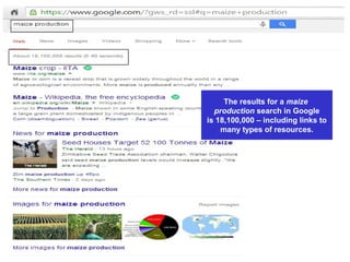 The results for a maize
production search in Google
is 18,100,000 – including links to
many types of resources.
 