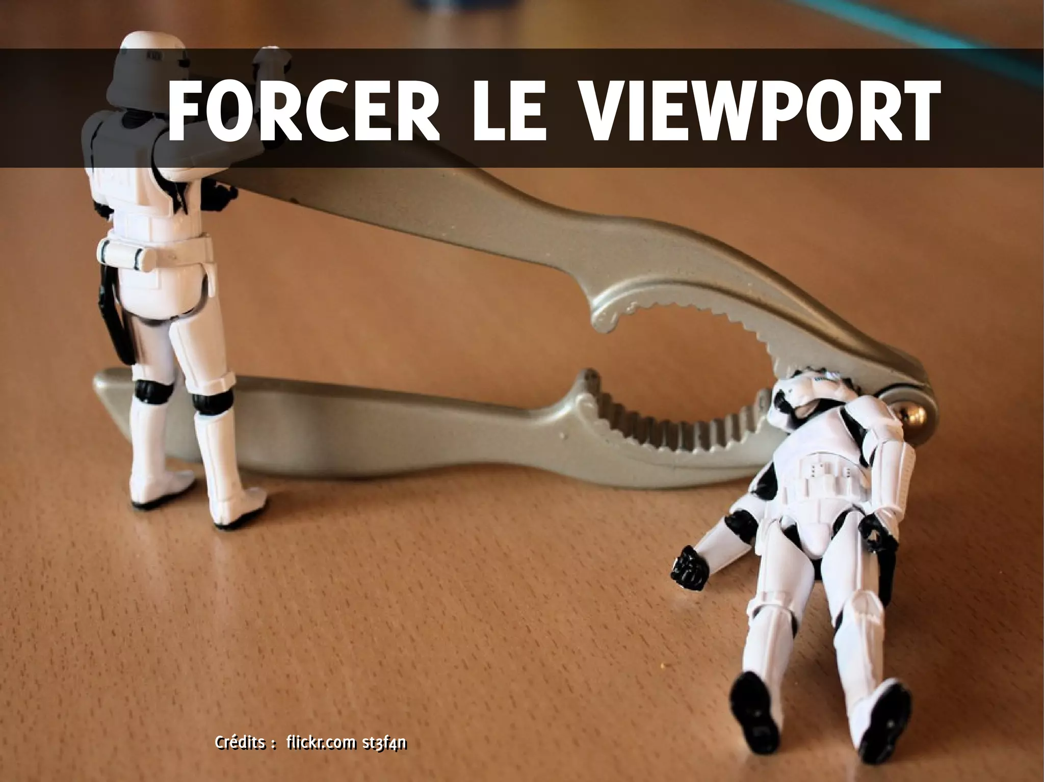 Crédits : flickr.com st3f4nCrédits : flickr.com st3f4n
FORCER LE VIEWPORT
 