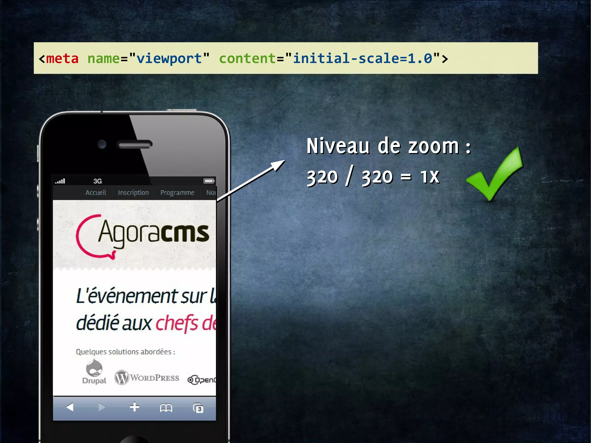 Niveau de zoom :
320 / 320 = 1x
Niveau de zoom :
320 / 320 = 1x
<meta name="viewport" content="initial-scale=1.0">
 