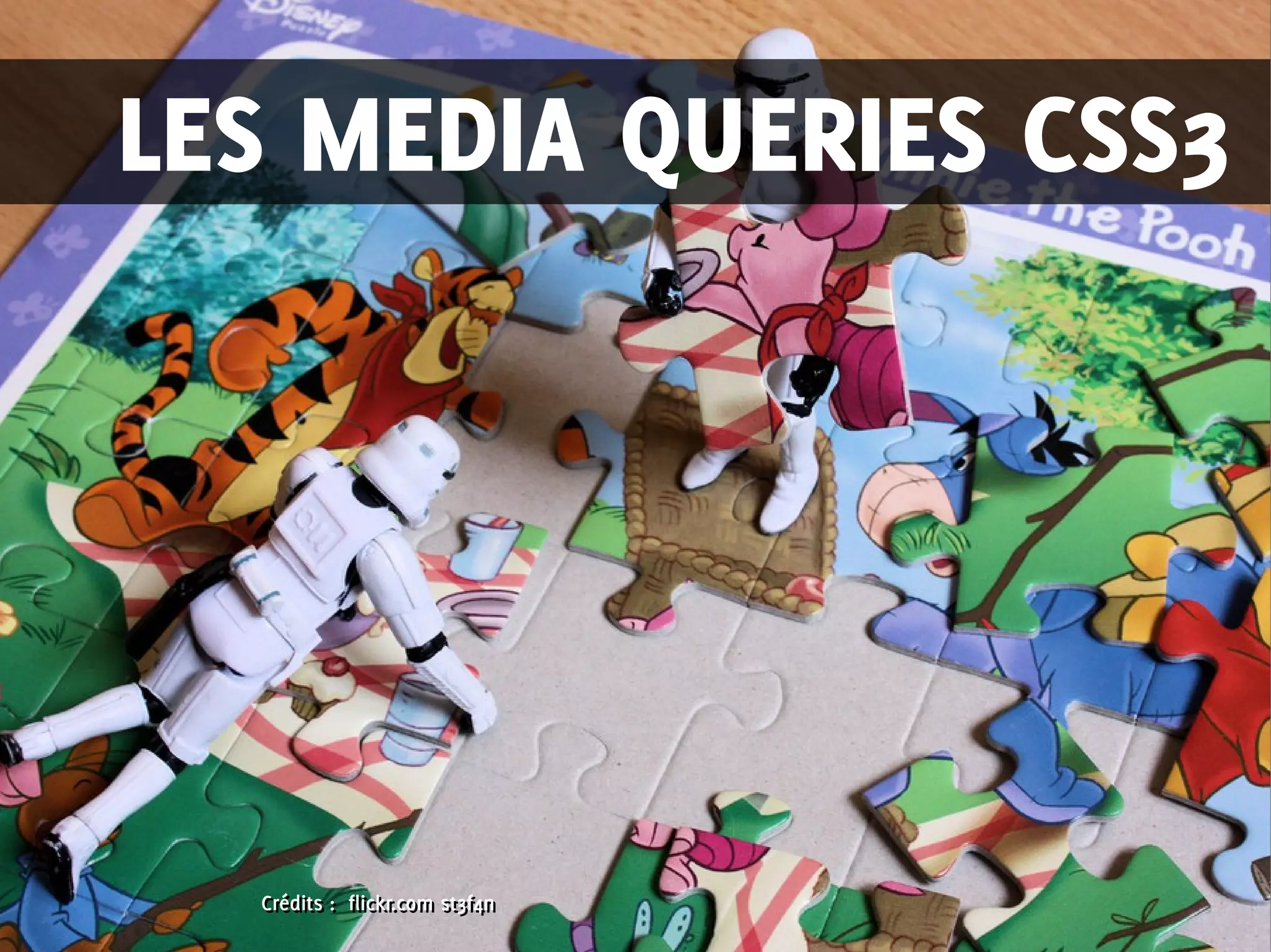 Crédits : flickr.com st3f4nCrédits : flickr.com st3f4n
LES MEDIA QUERIES CSS3
 