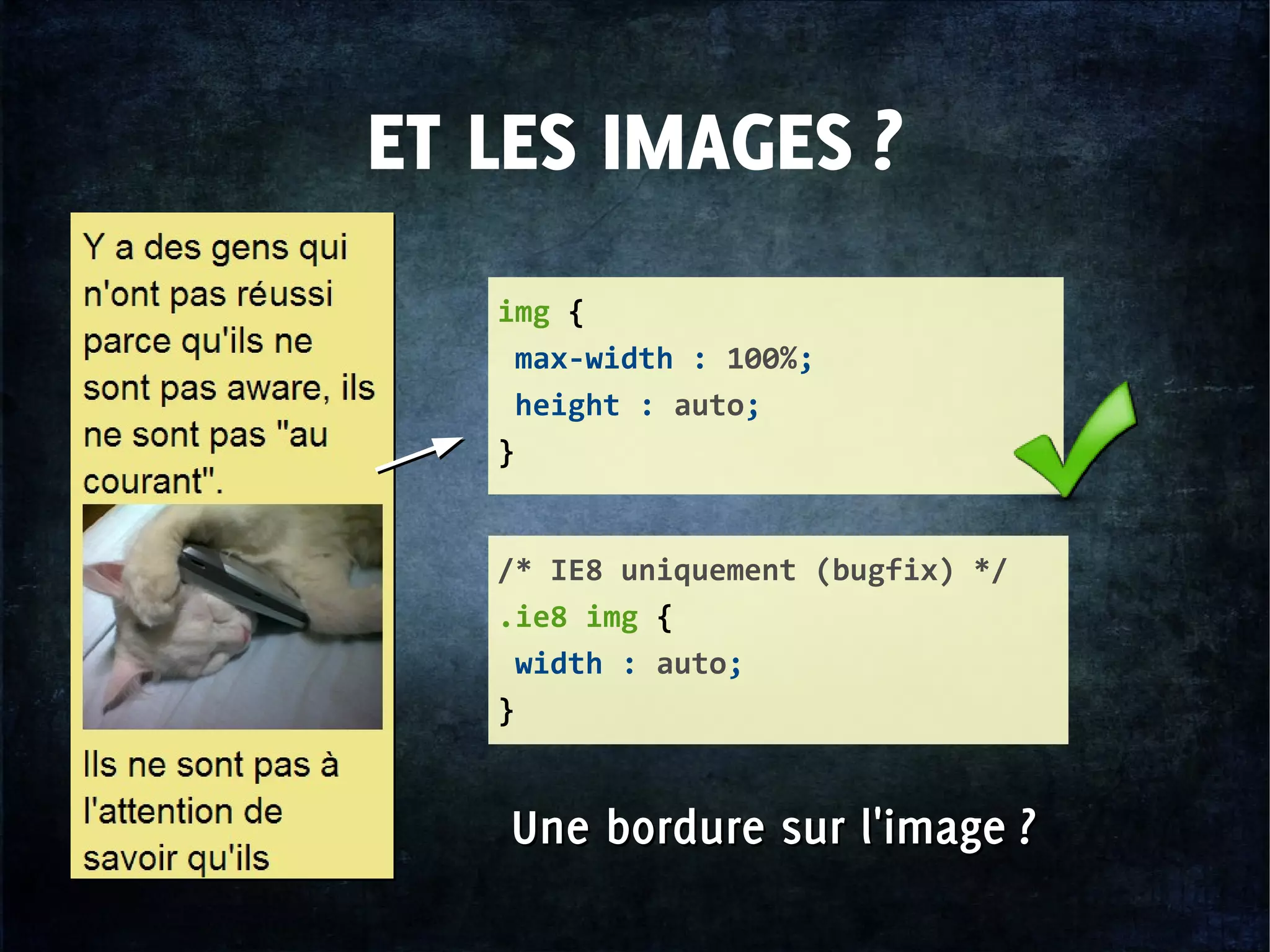 ET LES IMAGES ?
img {
max-width : 100%;
height : auto;
}
/* IE8 uniquement (bugfix) */
.ie8 img {
width : auto;
}
Une bordure sur l'image ?Une bordure sur l'image ?
 
