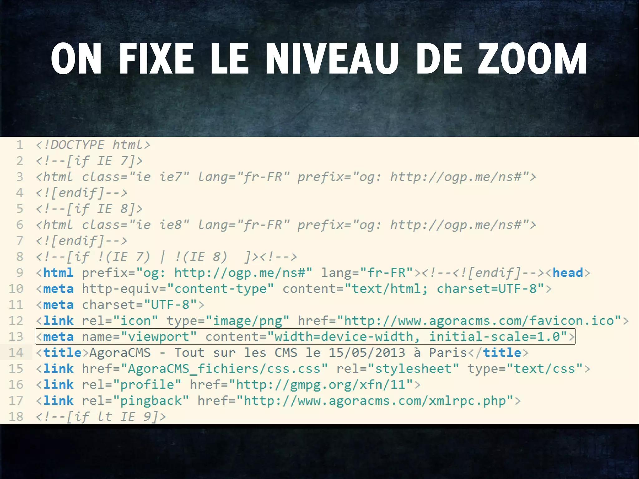 ON FIXE LE NIVEAU DE ZOOM
 
