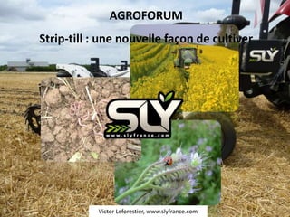 AGROFORUM
Strip-till : une nouvelle façon de cultiver




           Victor Leforestier, www.slyfrance.com
 