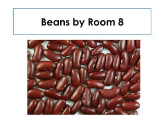 On Thursday 28th November the
plants had flowers.
 