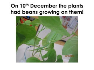 Emergent Literacy Intervention
Two primary aims:
1. To promote children’s positive regard
for literacy and their understanding of
the functional, intentional use of literacy.
2. To increase children’s skills in discrete
skill areas that are critically linked to later
reading success.
Jus3ce	
  &	
  Kaderavek,	
  2004	
  
 