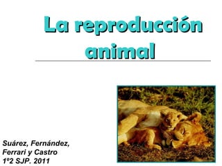 La reproducción animal   Suárez, Fernández,  Ferrari y Castro 1º2 SJP. 2011 