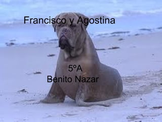 5ºA
Benito Nazar
Francisco y Agostina
 