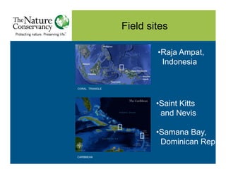 Field sites

                         •Raja Ampat,
                          Indonesia


CORAL TRIANGLE



               ...