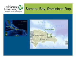 Marine Spatial Planning: a tropical perscective Dr. Vera Agostini