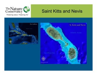Saint Kitts and Nevis
 