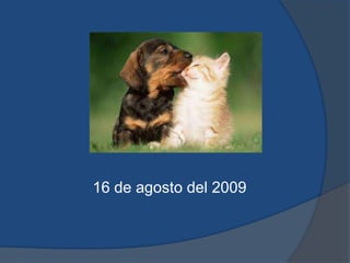 16 de agosto del 2009