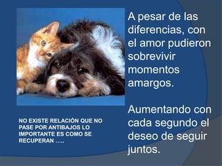 A pesar de las diferencias, con el amor pudieron sobrevivir momentos amargos.Aumentando con cada segundo el deseo de seguir juntos.NO EXISTE RELACIÓN QUE NO PASE POR ANTIBAJOS LO IMPORTANTE ES COMO SE RECUPERAN ….. 