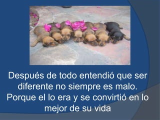 Después de todo entendió que ser diferente no siempre es malo. Porque el lo era y se convirtió en lo mejor de su vida