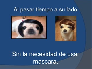 Al pasar tiempo a su lado.Sin la necesidad de usar mascara.