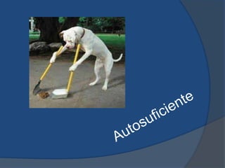 Autosuficiente