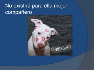 No existirá para ella mejor compañero 