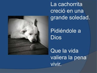 La cachorrita creció en una grande soledad. Pidiéndole a Dios Que la vida valiera la pena vivir.
