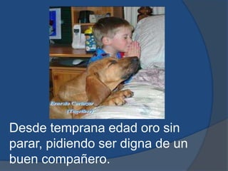 Desde temprana edad oro sin parar, pidiendo ser digna de un buen compañero.