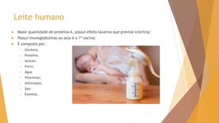 Leite humano
 Maior quantidade de proteína A, possui efeito laxativo que previne icterícia;
 Possui imunoglobulinas ou seja é a 1ª vacina;
 É composto por:
 Gordura;
 Proteína;
 Açúcar;
 Ferro;
 Água
 Vitaminas;
 Anticorpos;
 Sais
 Enzimas.
 