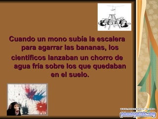 Cuando un mono subía la escalera
   para agarrar las bananas, los
científicos lanzaban un chorro de
 agua fría sobre los que quedaban
             en el suelo.
 