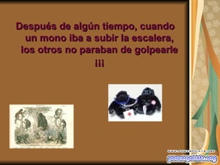 Después de algún tiempo, cuando
  un mono iba a subir la escalera,
 los otros no paraban de golpearle
                 ¡¡¡
 