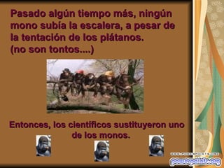 Pasado algún tiempo más, ningún
mono subía la escalera, a pesar de
la tentación de los plátanos.
(no son tontos....)




Entonces, los científicos sustituyeron uno
               de los monos.
 