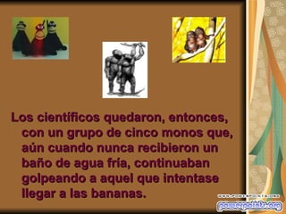 Los científicos quedaron, entonces,
 con un grupo de cinco monos que,
 aún cuando nunca recibieron un
 baño de agua fría, continuaban
 golpeando a aquel que intentase
 llegar a las bananas.
 