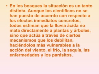 En los bosques la situación es un tanto distinta. Aunque los científicos no se han puesto de acuerdo con respecto a los efectos inmediatos concretos, todos estiman que la lluvia ácida no mata directamente a plantas y árboles, sino que actúa a través de ciertos mecanismos que los debilitan, haciéndolos más vulnerables a la acción del viento, el frío, la sequía, las enfermedades y los parásitos. 