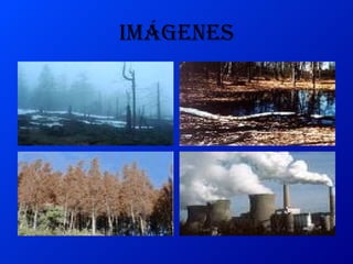 Imágenes 