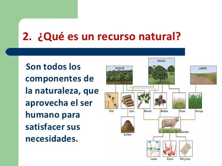 Resultado de imagen para cuales son los recursos naturales