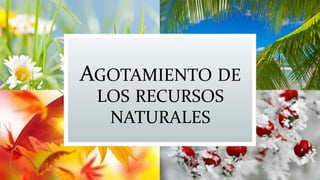 AGOTAMIENTO DE
LOS RECURSOS
NATURALES
 