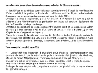 Impulser une dynamique économique pour valoriser la filière du cactus :   Sensibiliser les candidats potentiels pour soumissionner à l’appel de manifestation d’intérêt relatif à la gestion de l‘unité de conditionnement des figues de barbarie de Ouaaroun ; ouverture des plis étant prévue pour le 2 juin 2011. Envisager la mise à disposition, par la CR d’Asrir, d’un terrain de 100 ha pour la création d’une ferme moderne de production de cactus qui servirait  également de lieu de formation et d’apprentissage ; Entretenir des relations de coopération entre Cluster West et la  coopérative Adrar pour ses propres activités à Agadir d’une part, et Sahara cactus et  l’Ecole Supérieure d’Agriculture d’Angers  d’autre part ; Elargir le champ de l’étude en cours sur la plateforme technologique du cactopole pour couvrir les attentes du COS, en y intégrant les autres filières ; (approche multi filière et pluridisciplinaire : séchage, traitement, conservation, 1ères transformations etc. )  Promouvoir les produits du COS   Déclencher une opération d’envergure pour initier la commercialisation des produits de terroir par la création de points de vente clef (maison de Guelmim, Maison de Rabat, Atlas Kasbah et commerce ambulant : Foires et Moussems) ; Engager une action commerciale, avec des attaques ciblée, avant le mois d’octobre.  Préparer des fiches projets pour chaque produit de terroir;  Envisager la mise en place de comptoirs ambulants des produits de terroir au niveau des grandes surfaces. 