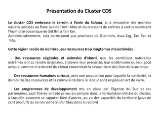 Présentation du Cluster COS 