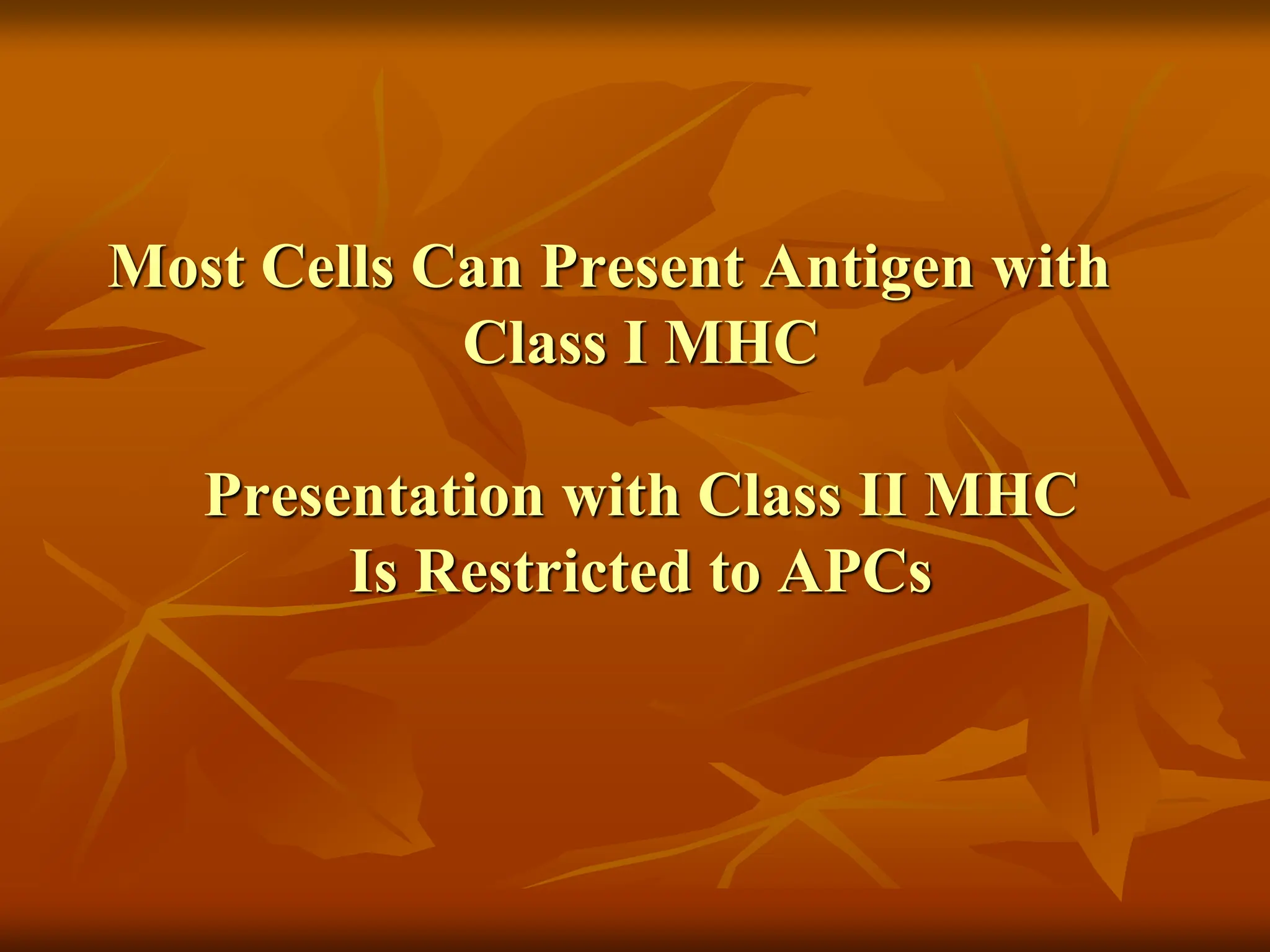 Most Cells Can Present Antigen with
Class I MHC
Presentation with Class II MHC
Is Restricted to APCs
 