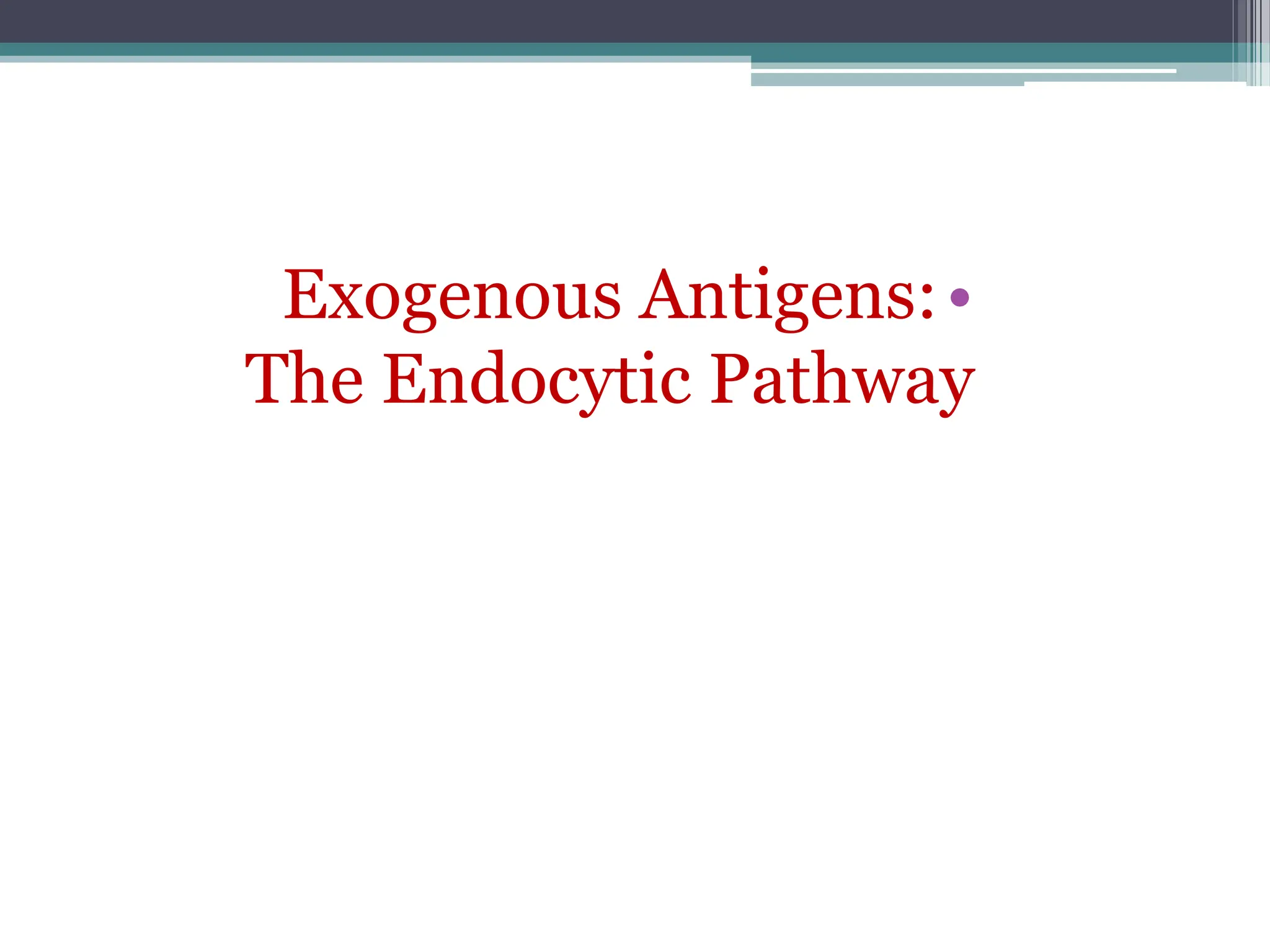 •
Exogenous Antigens:
The Endocytic Pathway
 