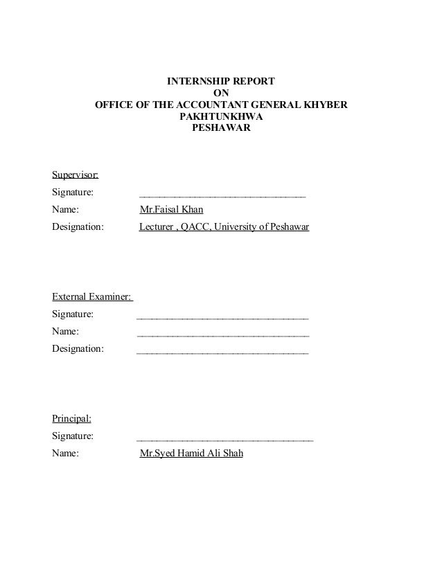 Final internship report sample image