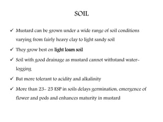 SOIL
 Mustard can be grown under a wide range of soil conditions
varying from fairly heavy clay to light sandy soil
 They grow best on light loam soil
 Soil with good drainage as mustard cannot withstand water-
logging
 But more tolerant to acidity and alkalinity
 More than 23- 25 ESP in soils delays germination, emergence of
flower and pods and enhances maturity in mustard
 