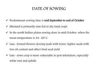 DATE OF SOWING
 Predominant sowing time is mid September to end of October
 Mustard is primarily rain fed or dry land crops
 In the north Indian plains sowing done in mid October, when the
mean temperature is 24- 260 C
 Late- formed flowers develop pods with fewer, lighter seeds with
low oil content and affect final seed yield
 Late- sown crop is more vulnerable to pest infestation, especially
white rust and aphids
 