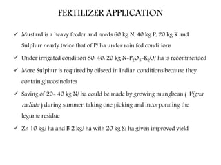 FERTILIZER APPLICATION
 Mustard is a heavy feeder and needs 60 kg N, 40 kg P, 20 kg K and
Sulphur nearly twice that of P/ ha under rain fed conditions
 Under irrigated condition 80: 40: 20 kg N-P2O5-K2O/ ha is recommended
 More Sulphur is required by oilseed in Indian conditions because they
contain glucosinolates
 Saving of 20- 40 kg N/ ha could be made by growing mungbean ( Vigna
radiata ) during summer, taking one picking and incorporating the
legume residue
 Zn 10 kg/ ha and B 2 kg/ ha with 20 kg S/ ha given improved yield
 