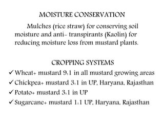 MOISTURE CONSERVATION
Mulches (rice straw) for conserving soil
moisture and anti- transpirants (Kaolin) for
reducing moisture loss from mustard plants.
CROPPING SYSTEMS
Wheat+ mustard 9:1 in all mustard growing areas
Chickpea+ mustard 3:1 in UP, Haryana, Rajasthan
Potato+ mustard 3:1 in UP
Sugarcane+ mustard 1:1 UP, Haryana, Rajasthan
 
