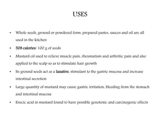 USES
• Whole seeds, ground or powdered form, prepared pastes, sauces and oil are all
used in the kitchen
• 508 calories/ 100 g of seeds
• Mustard oil used to relieve muscle pain, rheumatism and arthritic pain and also
applied to the scalp so as to stimulate hair growth
• Its ground seeds act as a laxative, stimulant to the gastric mucosa and increase
intestinal secretion
• Large quantity of mustard may cause gastric irritation, bleeding from the stomach
and intestinal mucosa
• Erucic acid in mustard found to have possible genotoxic and carcinogenic effects
 