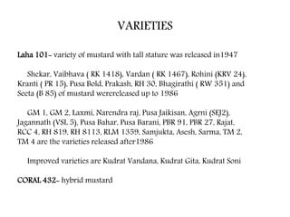 VARIETIES
Laha 101- variety of mustard with tall stature was released in1947
Shekar, Vaibhava ( RK 1418), Vardan ( RK 1467), Rohini (KRV 24),
Kranti ( PR 15), Pusa Bold, Prakash, RH 30, Bhagirathi ( RW 351) and
Seeta (B 85) of mustard werereleased up to 1986
GM 1, GM 2, Laxmi, Narendra raj, Pusa Jaikisan, Agrni (SEJ2),
Jagannath (VSL 5), Pusa Bahar, Pusa Barani, PBR 91, PBR 27, Rajat,
RCC 4, RH 819, RH 8113, RLM 1359, Samjukta, Asesh, Sarma, TM 2,
TM 4 are the varieties released after1986
Improved varieties are Kudrat Vandana, Kudrat Gita, Kudrat Soni
CORAL 432- hybrid mustard
 