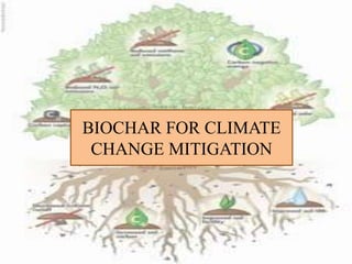 BIOCHAR: PREPARATION AND IT'S ROLE IN CLIMATE CHANGE MITIGATION | PPTX