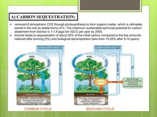 BIOCHAR: PREPARATION AND IT'S ROLE IN CLIMATE CHANGE MITIGATION | PPTX